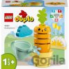 LEGO® Duplo 10981 Pestovanie mrkvy