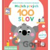 Mojich prvých 100 slov: Svet okolo mňa - YoYo Books