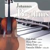 Johannes Brahms - Chamber Music (CD)