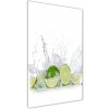 Vertikálny foto obraz sklo tvrdené Limetka 50x100 cm