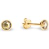 Náušnice zlaté so Swarovski Elements Pinpoint Studs KG2038SS10GS Golden Shadow