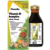 SALUS Floradix Vitamín-B-komplex tekutý vitamín 1x250 ml
