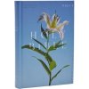 NRSV CATHOLIC EDITION BIBLE EASTER LILY (CATHOLIC BIBLE)(Pevná)