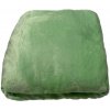 Jerry Fabrics plachta mikroplyš pastelovo zelená Polyester 90x200