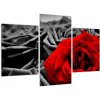 Obraz červené ruže (Obraz 90x60cm)