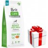BRIT CARE Dog Grain-free Adult Large Breed Salmon 12kg + PREKVAPENIE PRE VÁŠHO PSA