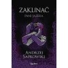 Zaklínač VII.: Pani jazera - Andrzej Sapkowski, Brian Terrero (ilustrátor), Jakub Šimjak (ilustrátor)