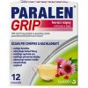 PARALEN GRIP horúci nápoj echinacea a šípky plo por 500 mg/10 mg (vre.PAP/Al/LDPE) 1x12 vrecúšok