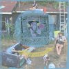 Wavers - Look What I Found / Vinyl [LP]