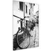 Vertikálny foto obraz sklenený Mestské bicykle 50x100 cm