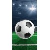 Jerry Fabrics Bavlnená froté osuška - Futbal