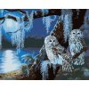 zuty Zuty - Maľovanie Podľa Čísel - Snežná Sova V Noci Za Splnku (D. Rusty Rust), 80X100 Cm, Plátno (8596530181828)