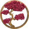Machový obraz Bonsai 40cm Pink