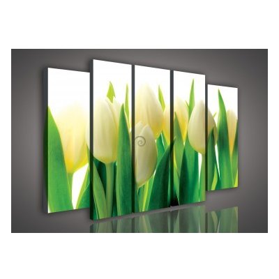 Obraz na plátne viacdielny - OB2910 - Žlto biele tulipány 150cm x 100cm -  S12 od 74,7 € - Heureka.sk