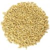 Jačmeň semienka na klíčenie váha 500g
