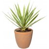 Gasper Gasper Umelý kvet Yucca, 45 cm