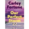 Our Perfect Storm