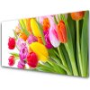 Sklenený obklad Do kuchyne Tulipány kvety rastlina 100x50 cm