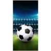 Detexpol osuška Futbal štadión 70 x 140 cm