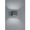 TRIO 226860242 Adaja nástenné exteriérové svietidlo LED 2x3W 240lm 3000K IP54
