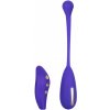 CalExotics Impulse E-Stimulator Remote Kegel Exerciser