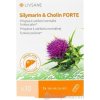 LIVSANE Silymarín a cholin FORTE 30 kapsúl