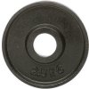 Litinový kotouč ATX LINE 2,5 kg, průměr 50 mm