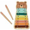 2Kids Toys Xylofon Medvídek