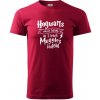 Harry - Hogwarts wasn’t hiring, so I teach Muggles instead - Klasické pánske tričko vyššej gramáže - M ( Marlboro červená )