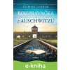 E-kniha Rozprávačka z Auschwitzu - Siobhan Curham