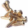 VRUT_zl_10_200ks | Šroubek ocelový zlatý 4 x 10mm 200ks