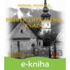 E-kniha Príbeh zchýraleho kňaza - Mariana Michalská