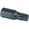 Bit 10mm TORX 10 30 mm, ARNDT