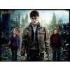 HM Studio 33007 pohyblivé Harry Potter & Ron 300 dielov