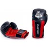 Boxerské rukavice DBX BUSHIDO boxerské rukavice 10 oz