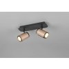 TRIO 814500265 GILLAN stropné bodové svietidlo/spot 2xGU10 čierna, kávová