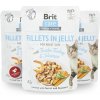 Brit Care Cat kapsička Fillets in Jelly with Turkey & Shrimps 85 g