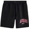 ALPINESTARS šortky DUNKER 3, ALPINESTARS (čierna)