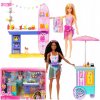 Barbie Sada Deň pri mori HNK99