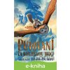 E-kniha Putování za kouzelnou mocí - Sarah Beth Durst