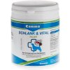 Canina Schlank & Vital 500g
