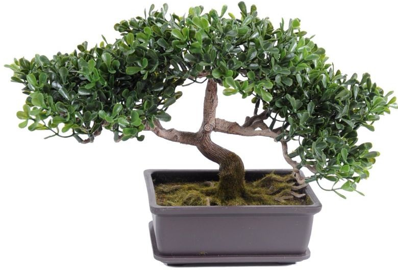 Umelý strom čajovník bonsai, 22cm