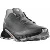 Salomon Alphacross 5 M L47313300 pewter black