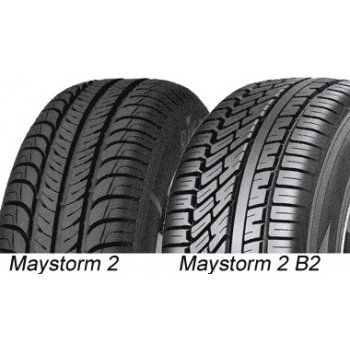 Riken Maystorm 2 B2 195/65 R15 91H