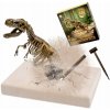Fosílie Súprava malého paleontológa T-Rex Vykopávky Dinosaurus