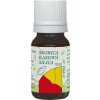 Hanus Škorica kasiová silica 10 ml