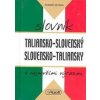 Taliansko - slovenský slovensko - taliansky slovník s najnovšími výrazmi - Roman Sehnal