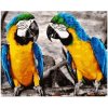 Norimpex diamantové maľovanie Papagáje 30 x 40 cm