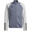Sweatshirt adidas Tiro 23 Competition Training Jr. HP1909 (125988) 116cm