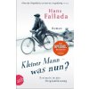 Kleiner Mann - was nun? (Hans Fallada)(Brožovaná)